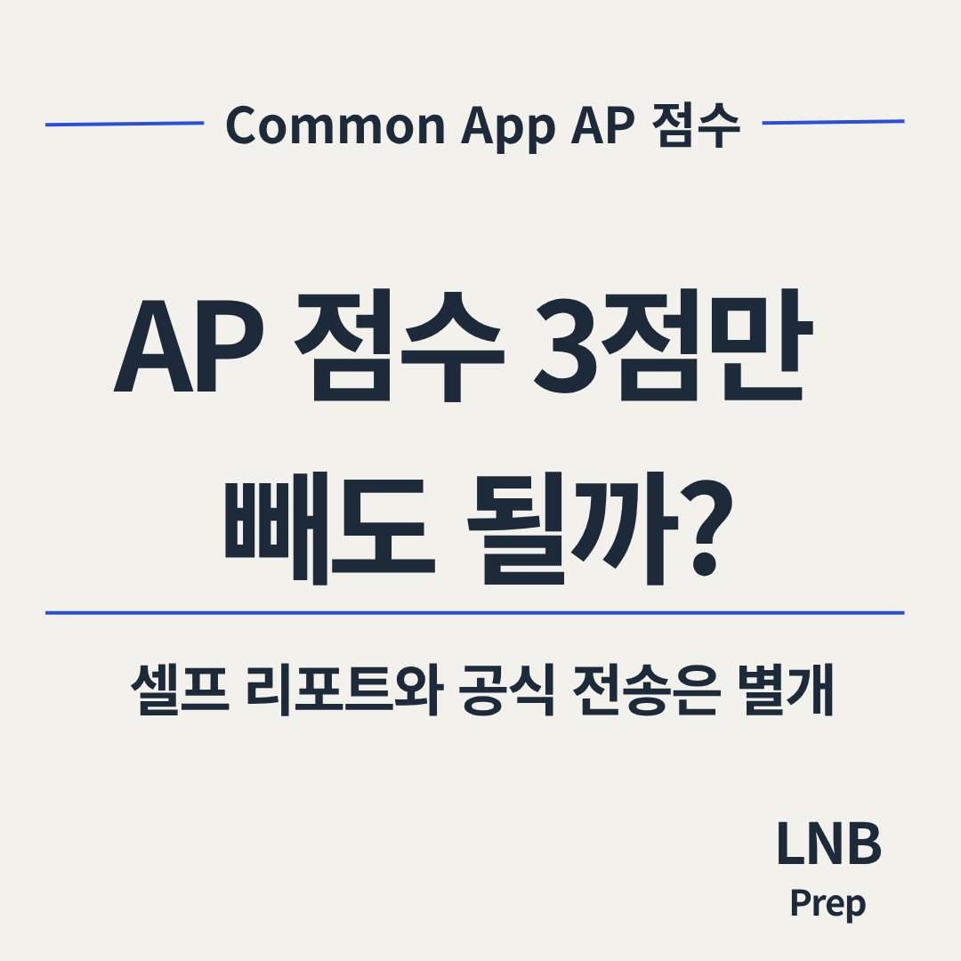 Common App AP 점수 3점 셀프 리포트와 공식 전송 판단 기준