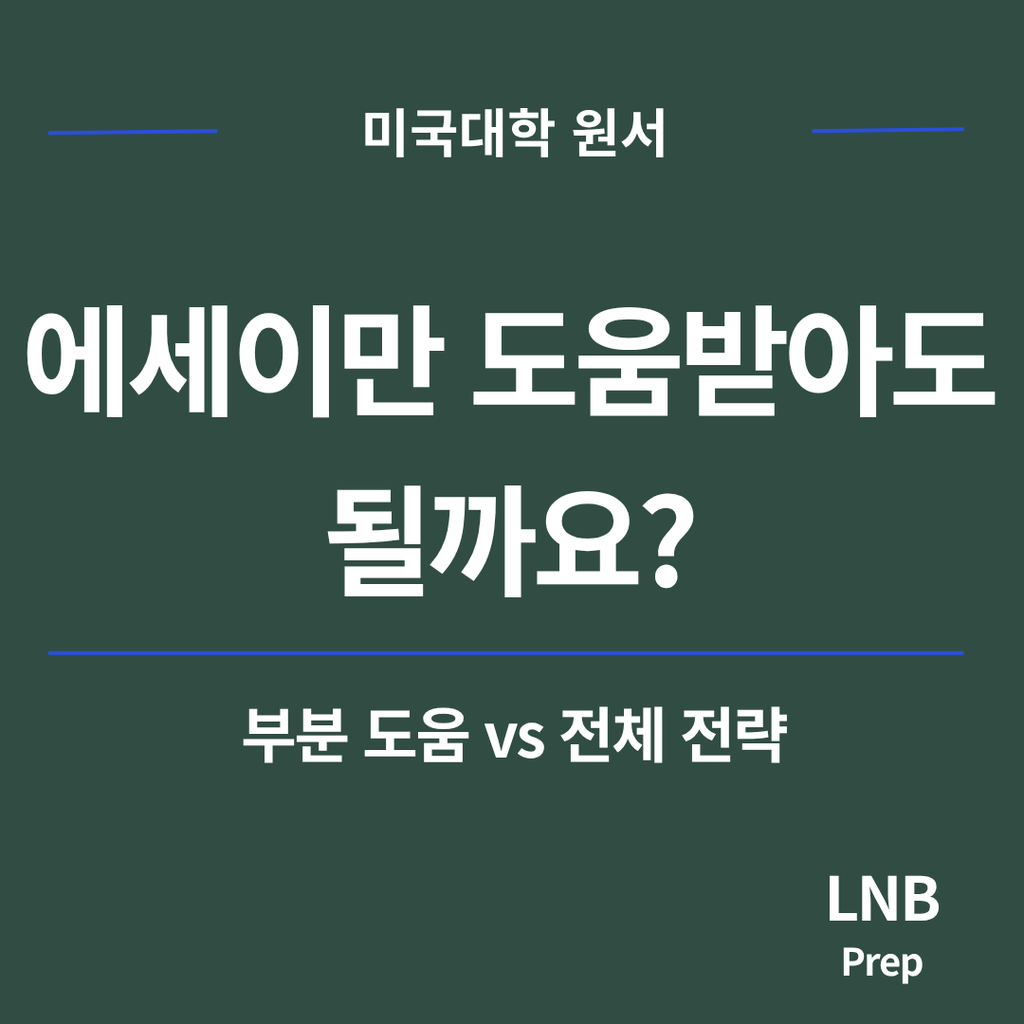 G12 미국대학 원서에서 에세이 부분 도움과 전체 전략을 비교하는 판단 기준